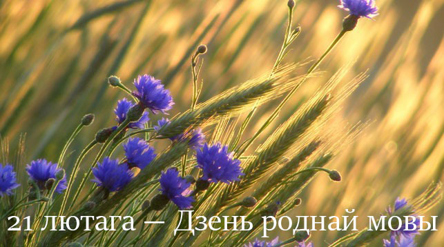 В преддверии Дня родного языка  в РУП «Витебский ЦСМС»