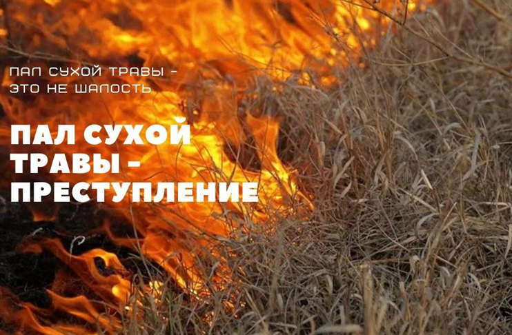 Палы сухой травы: опасность и ответственность